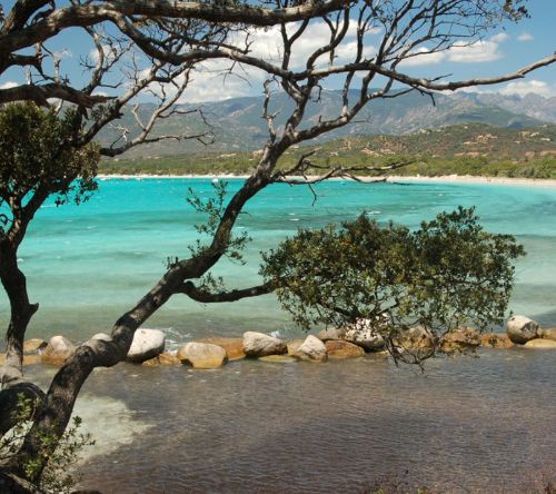 Plage arasu sainte lucie de porto vecchio