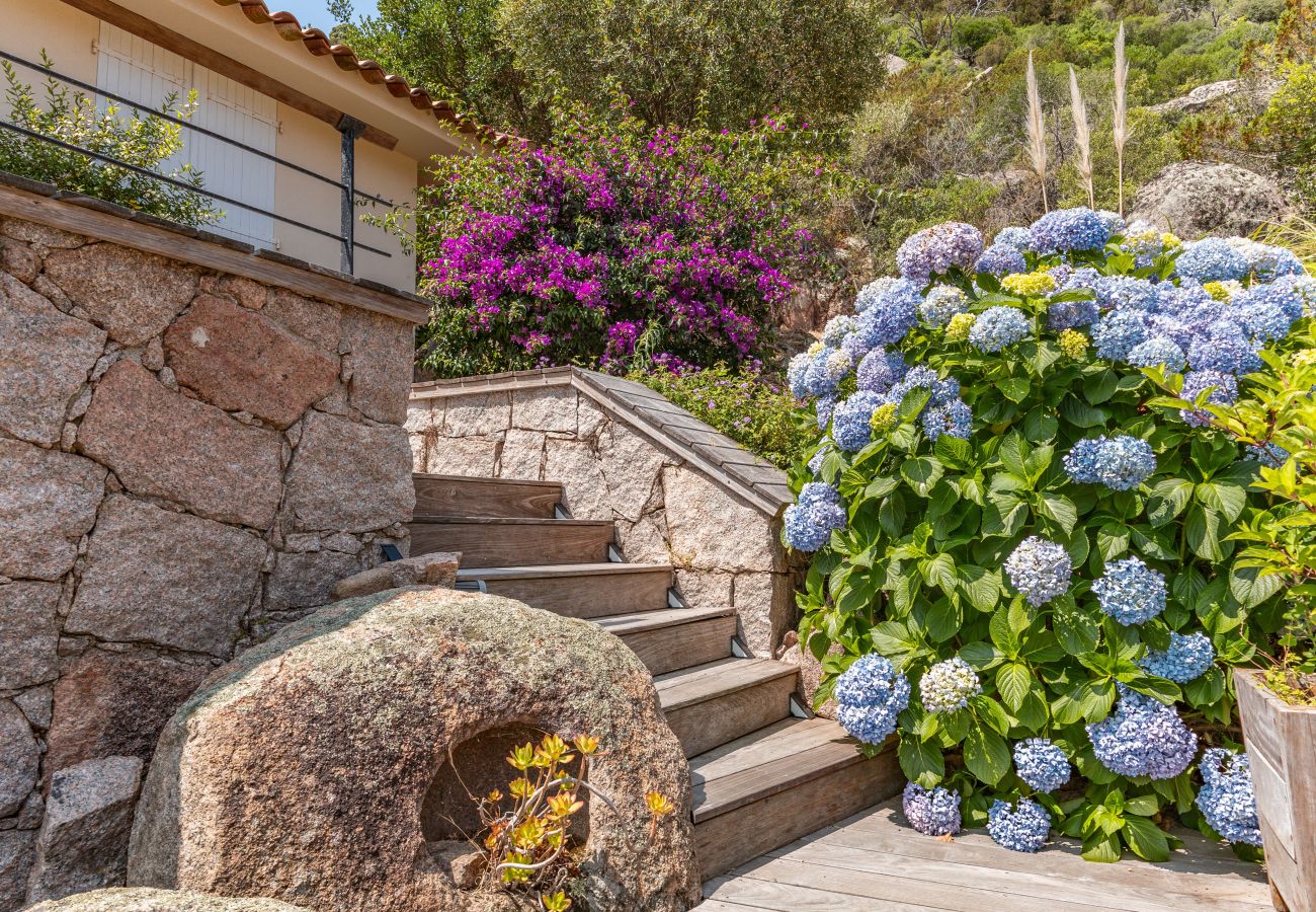 Villa in Porto-Vecchio - Villa Elsa