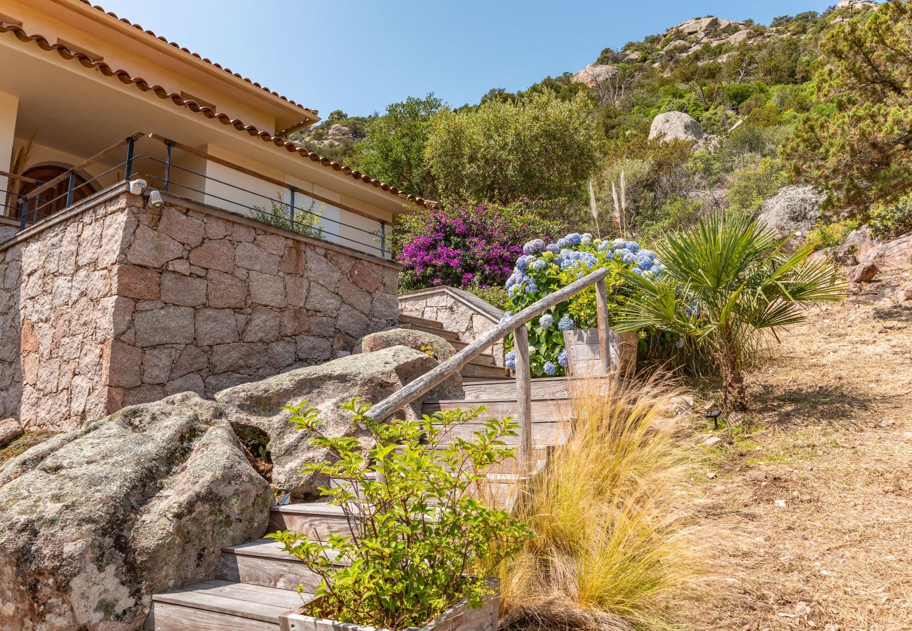 Villa in Porto-Vecchio - Villa Elsa