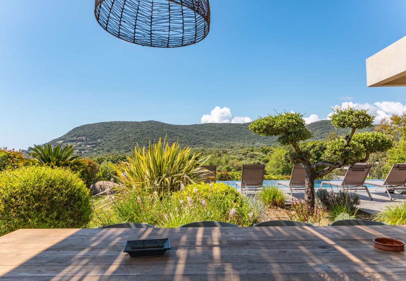 Villa in Pinarello - Villa U Pinu