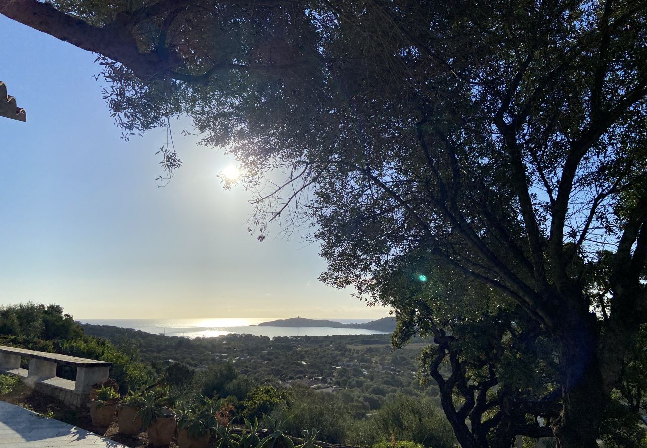 Villa in Sainte-Lucie de Porto-Vecchio - Villa  Altetu