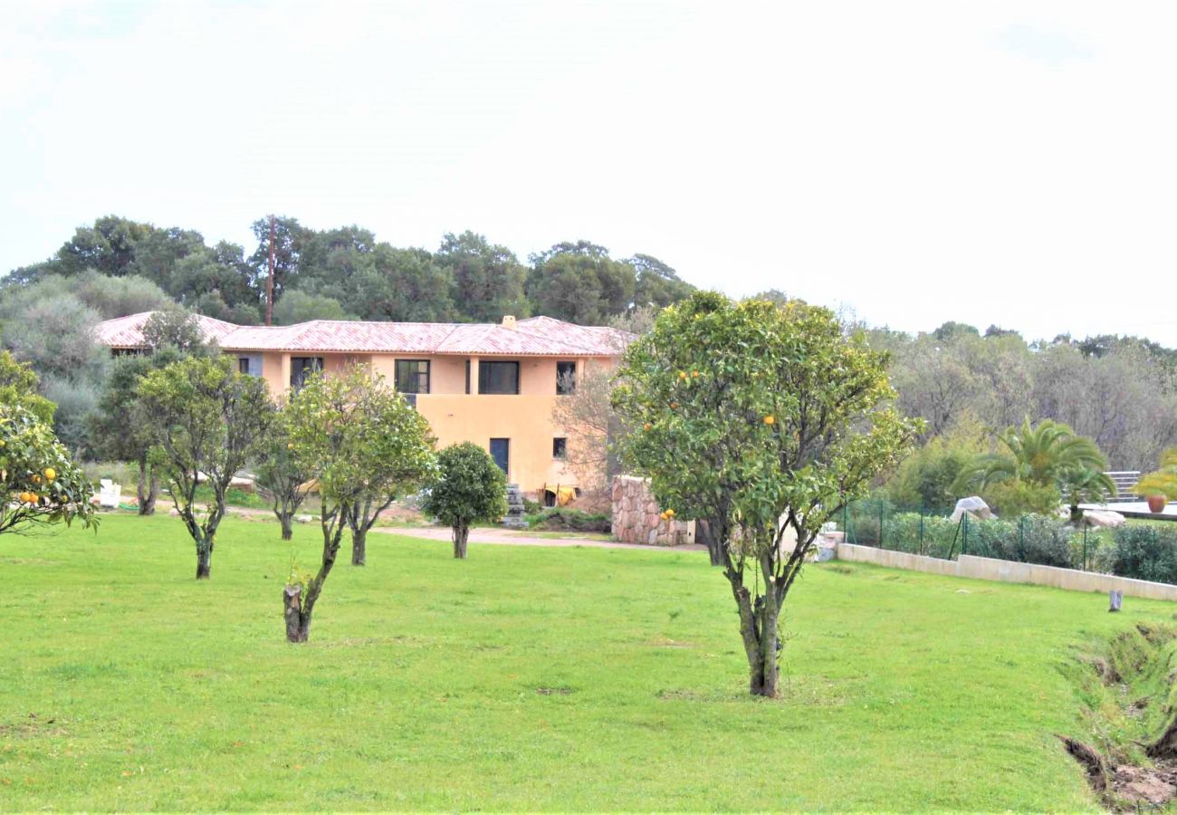 Villa in Pinarello - Villa Alivu