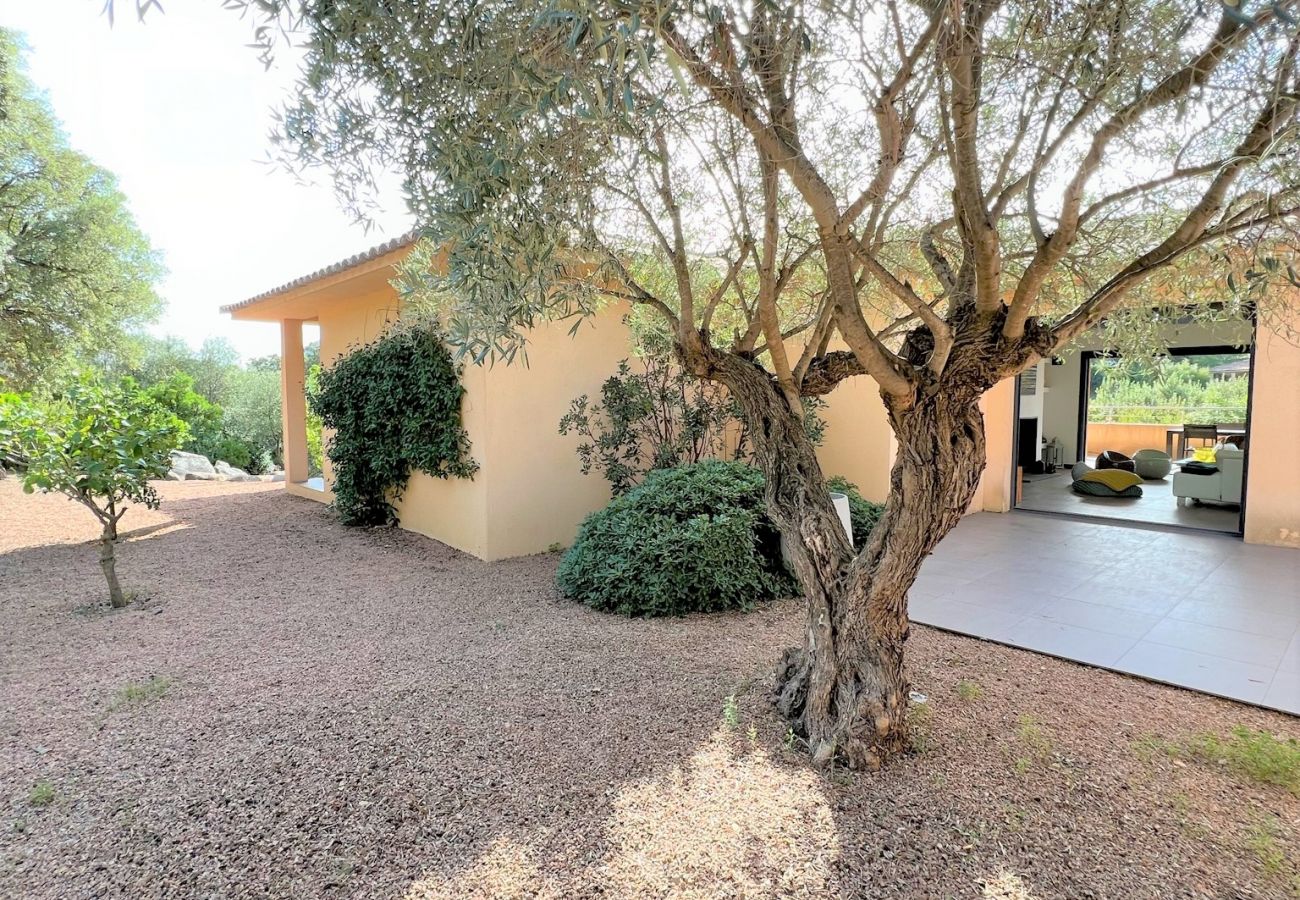 Villa in Pinarello - Villa Alivu