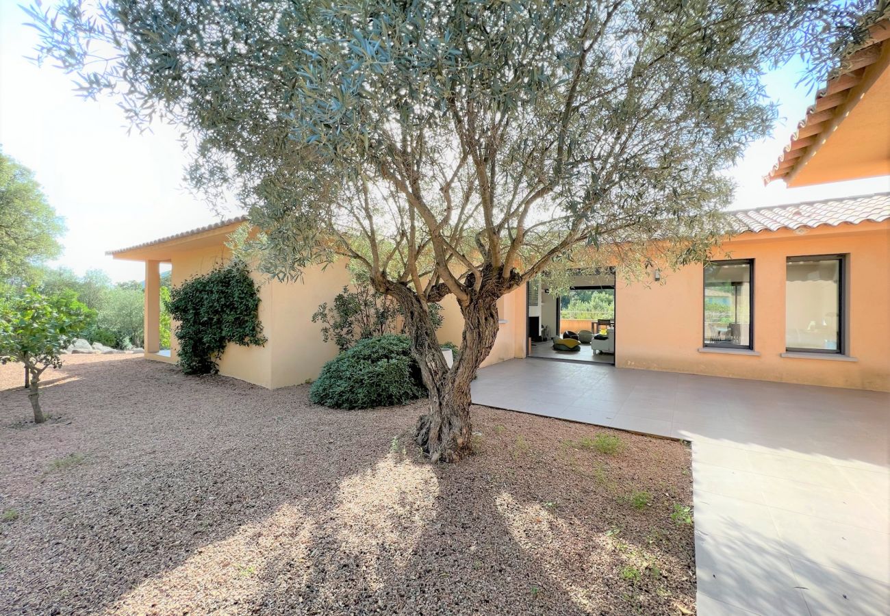 Villa in Pinarello - Villa Alivu