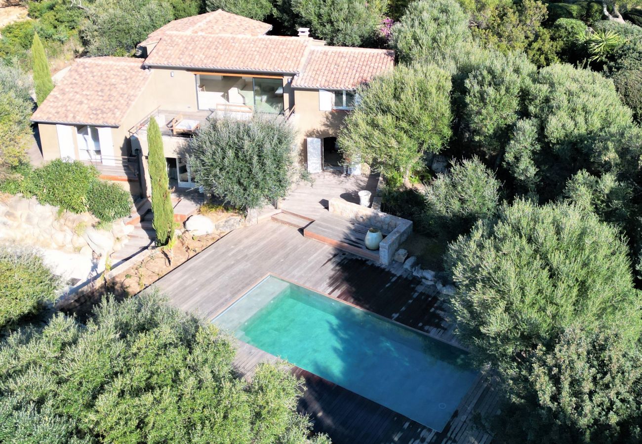 Villa in Sainte-Lucie de Porto-Vecchio - Villa Casta Joia