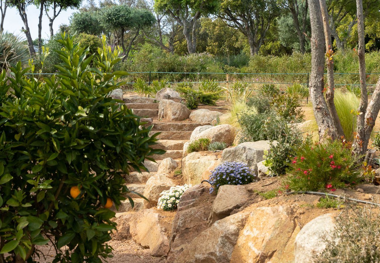 Villa in Sainte-Lucie de Porto-Vecchio - Villla Pampa