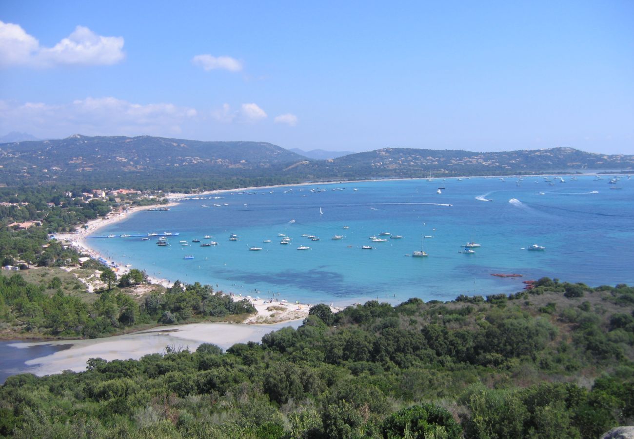 Apartment in Sainte-Lucie de Porto-Vecchio - Appartement Strappazola