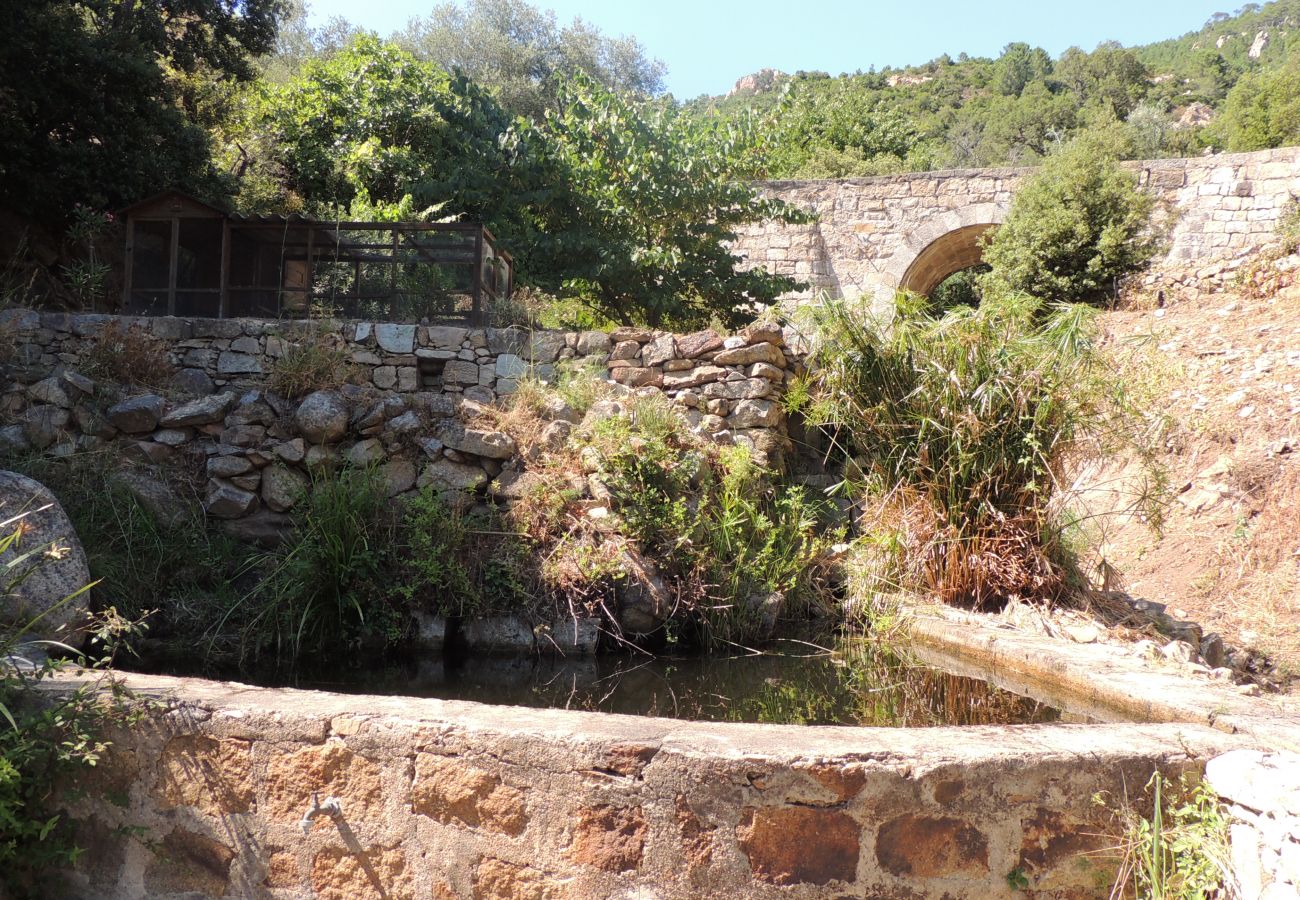 Villa in Conca - L'Ortu di Pisettu - 1