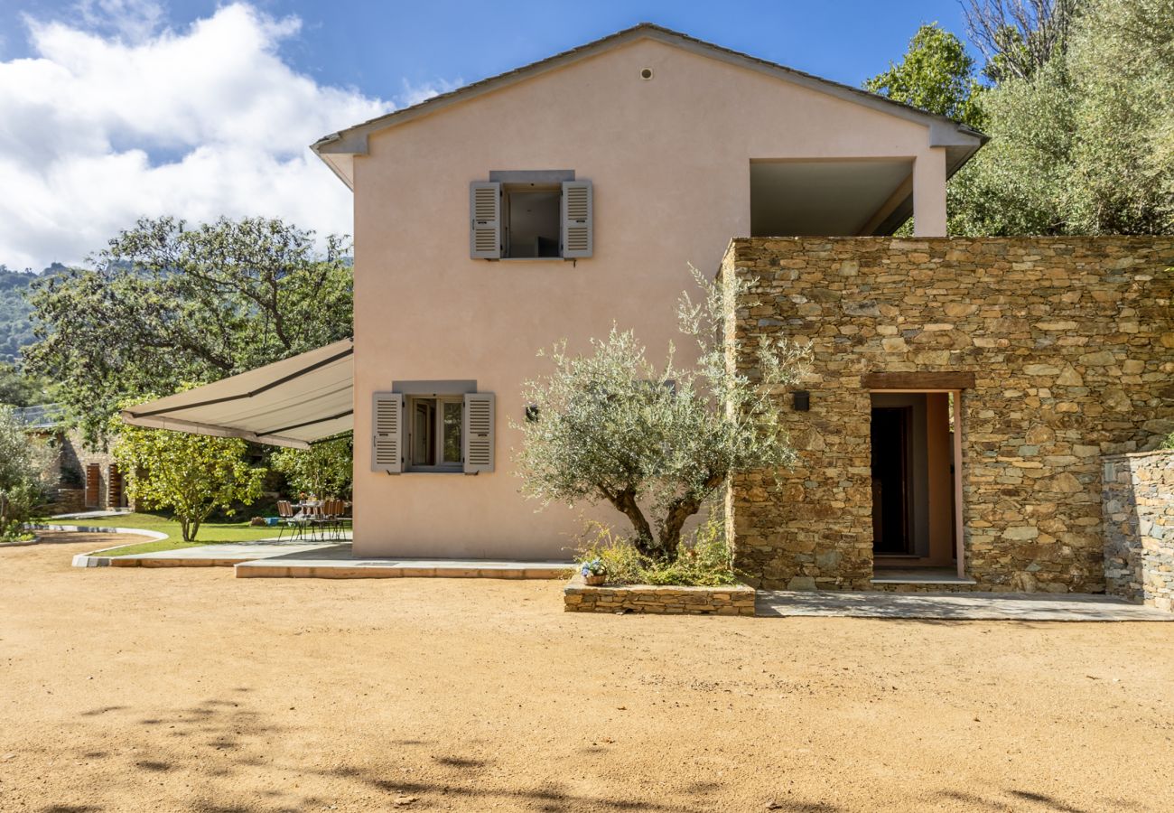 Villa in Brando - Villa Cintolino