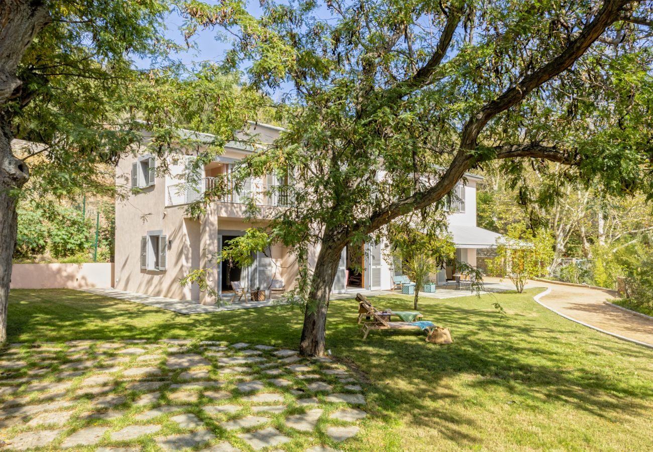 Villa in Brando - Villa Cintolino