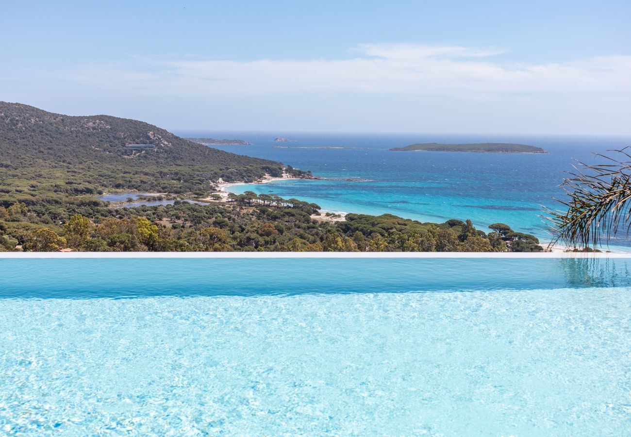 Villa in Porto-Vecchio - Villa Lume di Palombaggia
