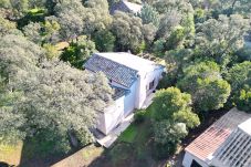 Villa/Dettached house in Sainte-Lucie de Porto-Vecchio - Villa - Bord de mer