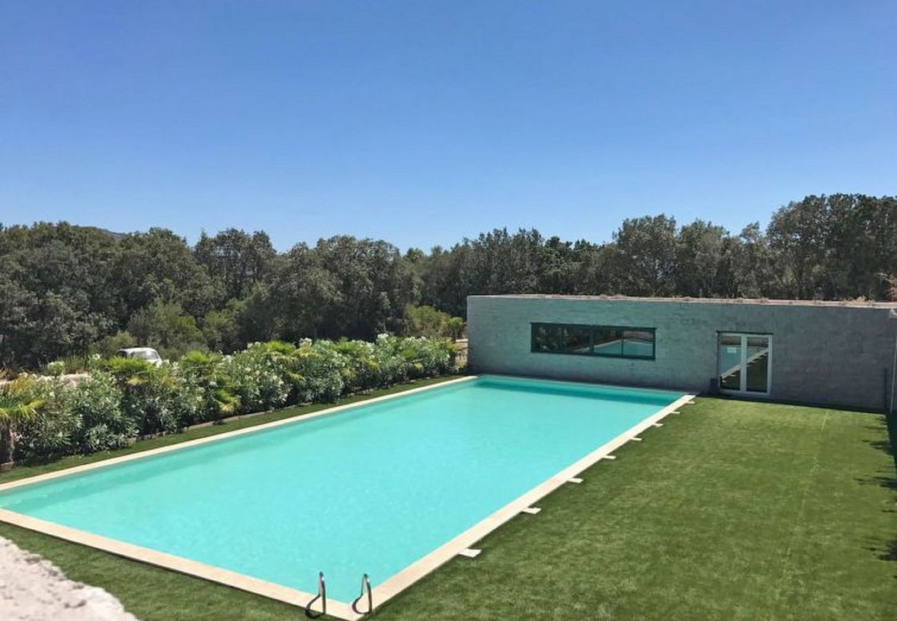 Apartamento en Porto-Vecchio - Appartement U Palazzu - 1