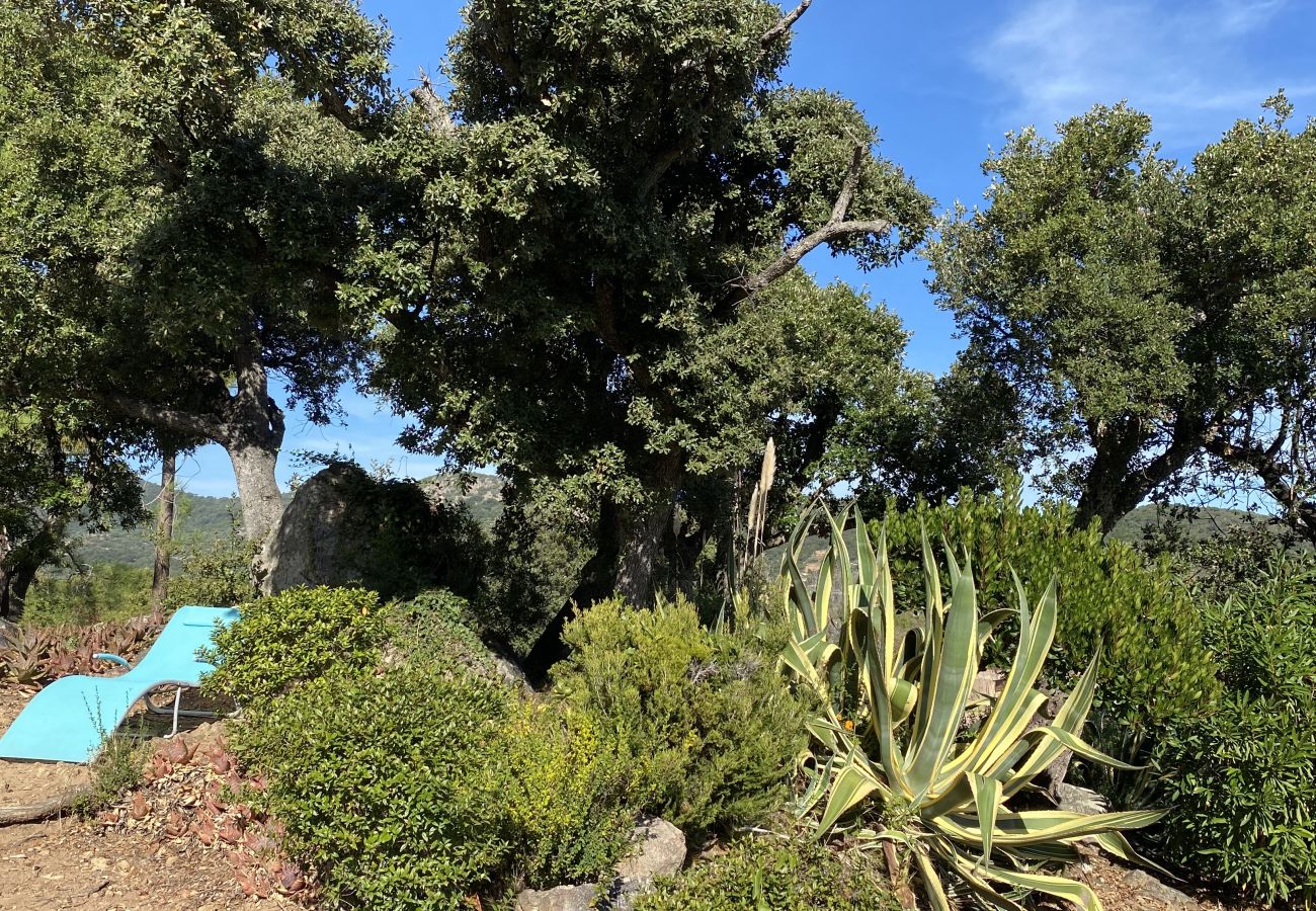 Villa en Sainte-Lucie de Porto-Vecchio - Casa Samba