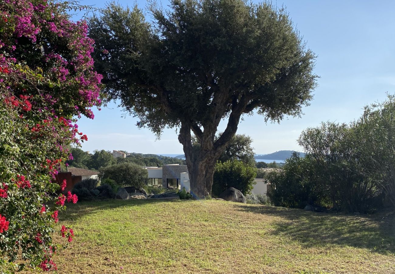 Villa en Pinarello - Villa Rossa
