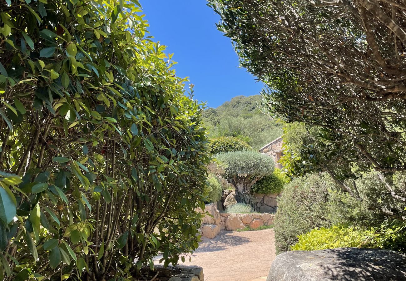 Villa en Porto-Vecchio - Casa Sarralonga