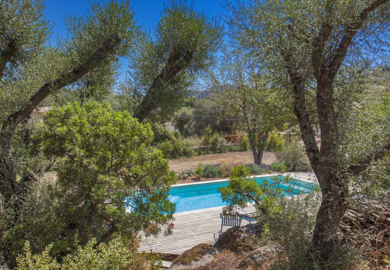 Villa en Porto-Vecchio - Villa Pianelli