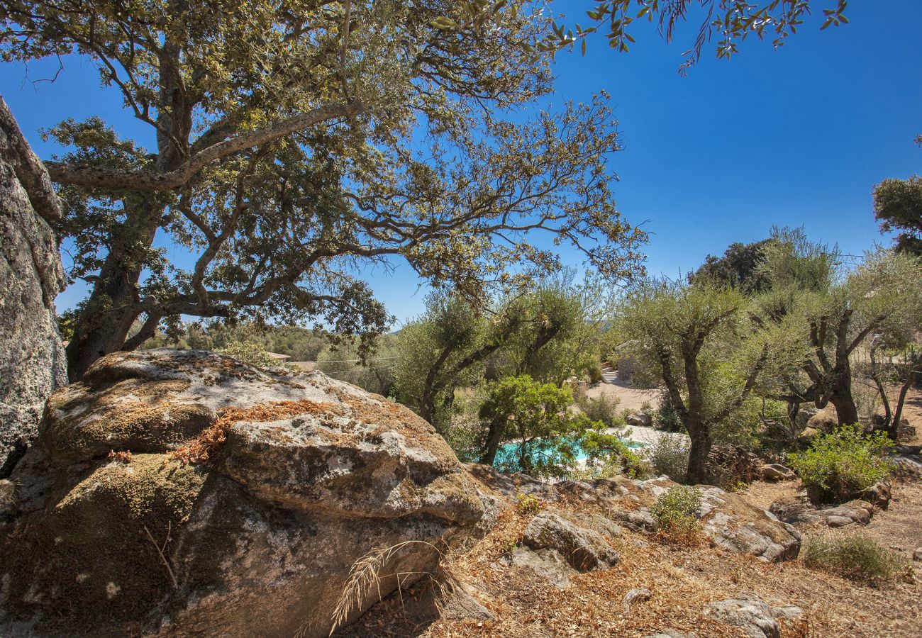 Villa en Porto-Vecchio - Villa Pianelli