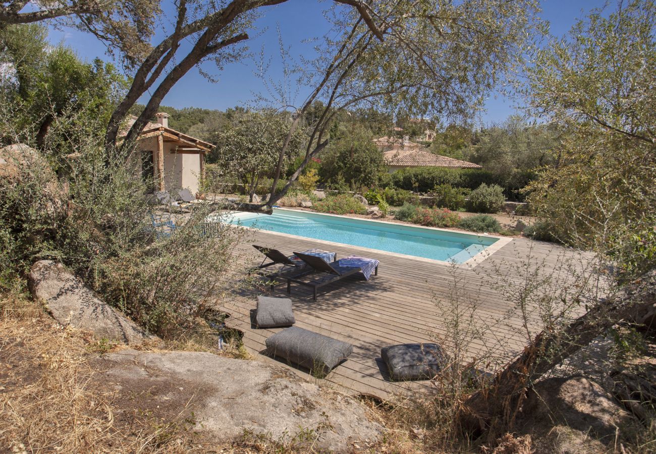 Villa en Porto-Vecchio - Villa Pianelli