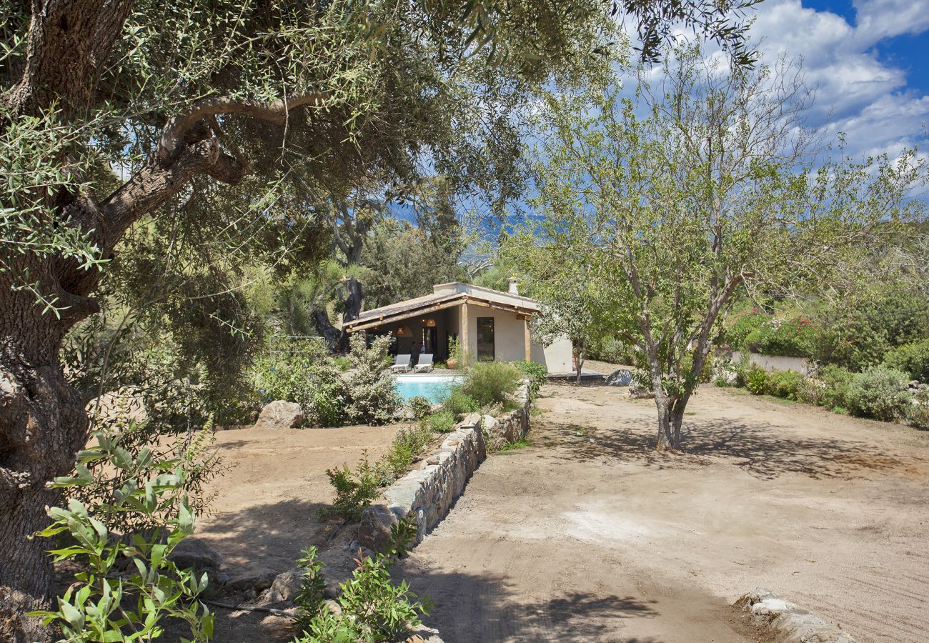 Villa en Porto-Vecchio - Villa Pianelli