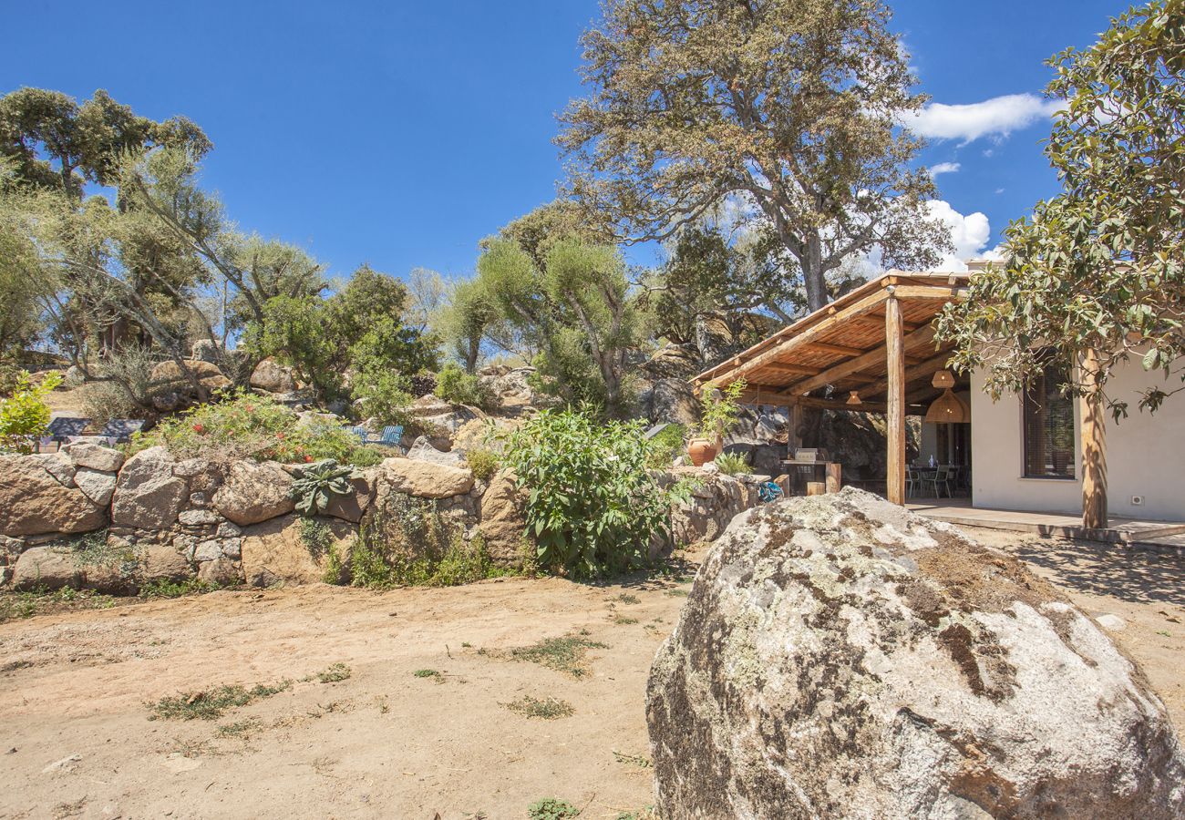 Villa en Porto-Vecchio - Villa Pianelli