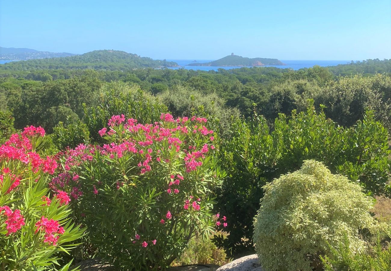 Villa en Sainte-Lucie de Porto-Vecchio - Villa Giardinu