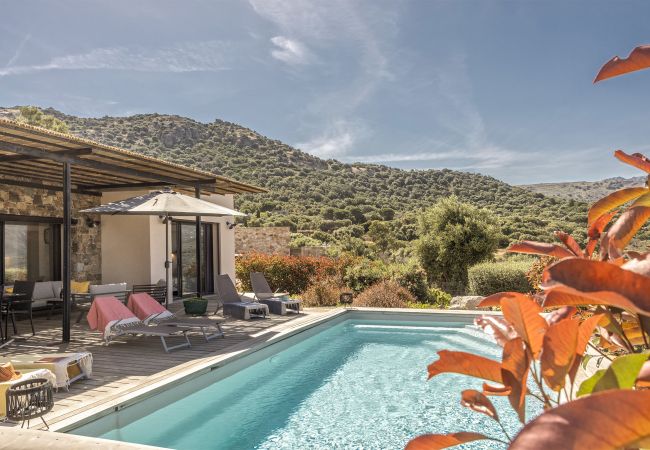 Villa a Corbara - Villa Davia