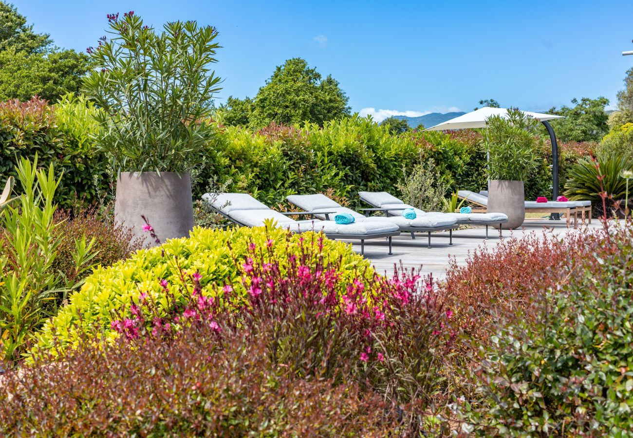 Villa a Pinarello - Villa Torra