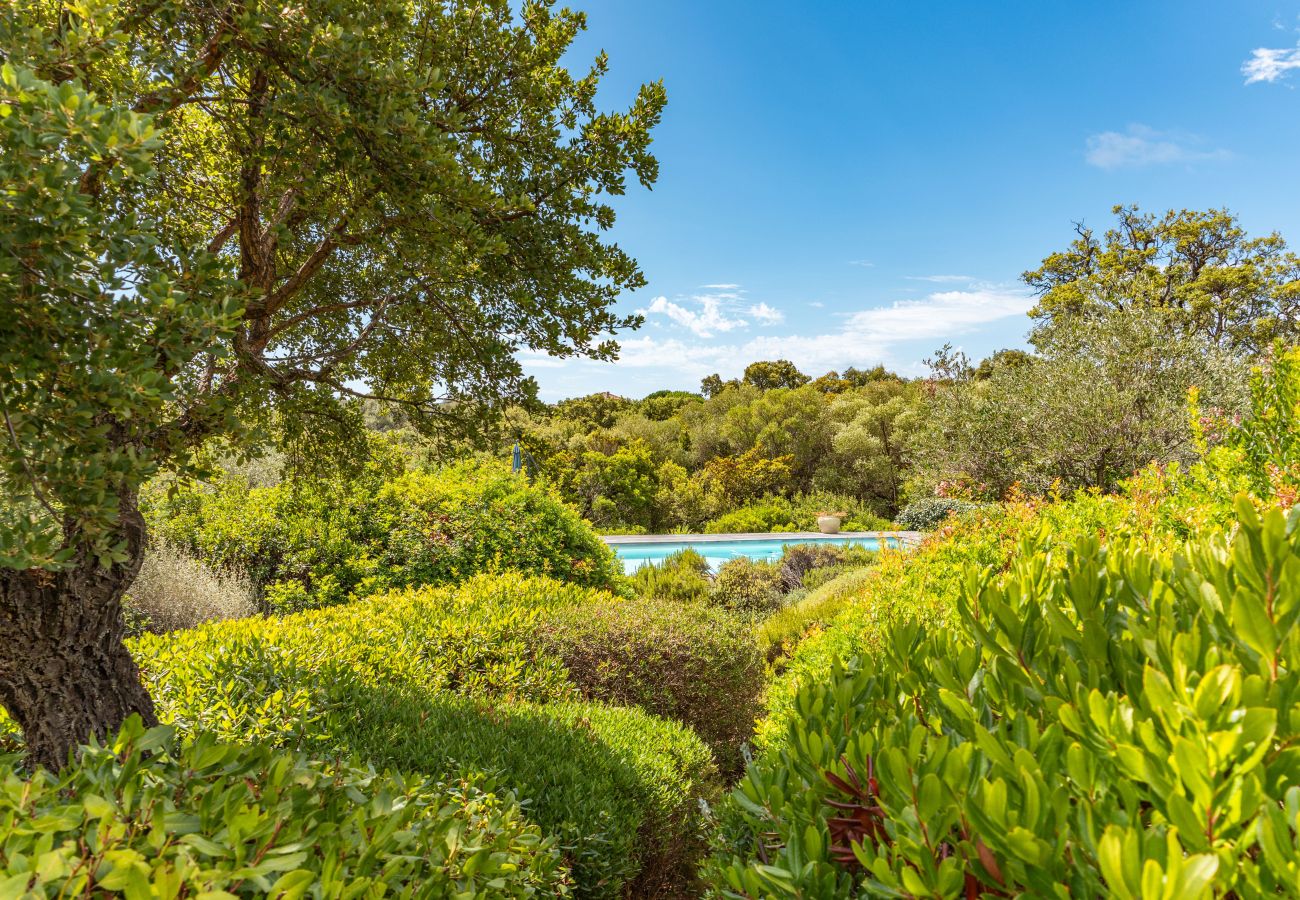 Villa a Sainte-Lucie de Porto-Vecchio - Villa A Pinedda Mare