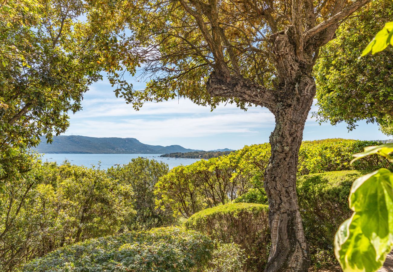 Villa a Porto-Vecchio - Villa A Benista Mare