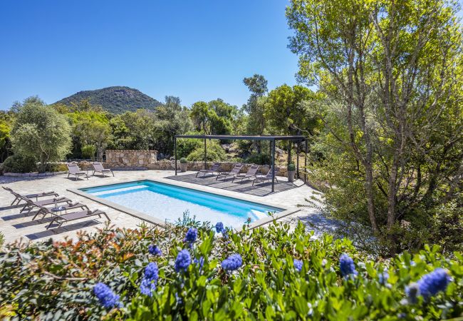 villa à Porto-Vecchio - Villa Camilia