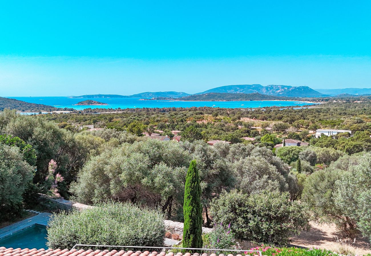 Villa à Sainte-Lucie de Porto-Vecchio - Villa Casta Joia