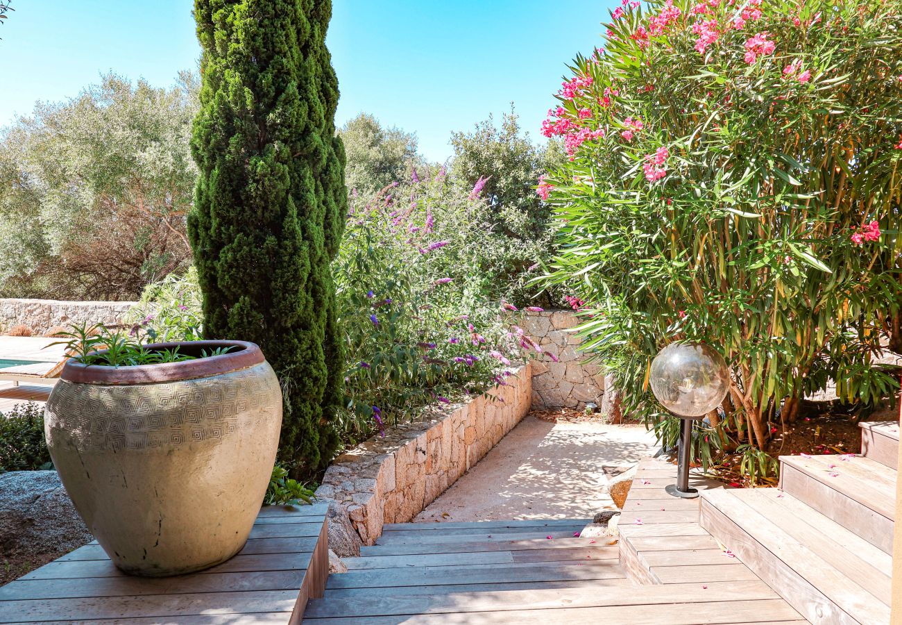 Villa à Sainte-Lucie de Porto-Vecchio - Villa Casta Joia