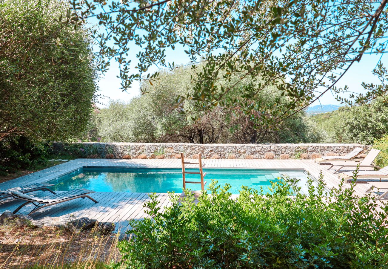 Villa à Sainte-Lucie de Porto-Vecchio - Villa Casta Joia