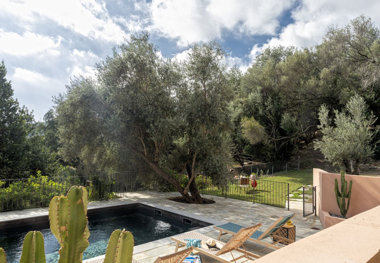 Villa à Brando - Villa Piccula