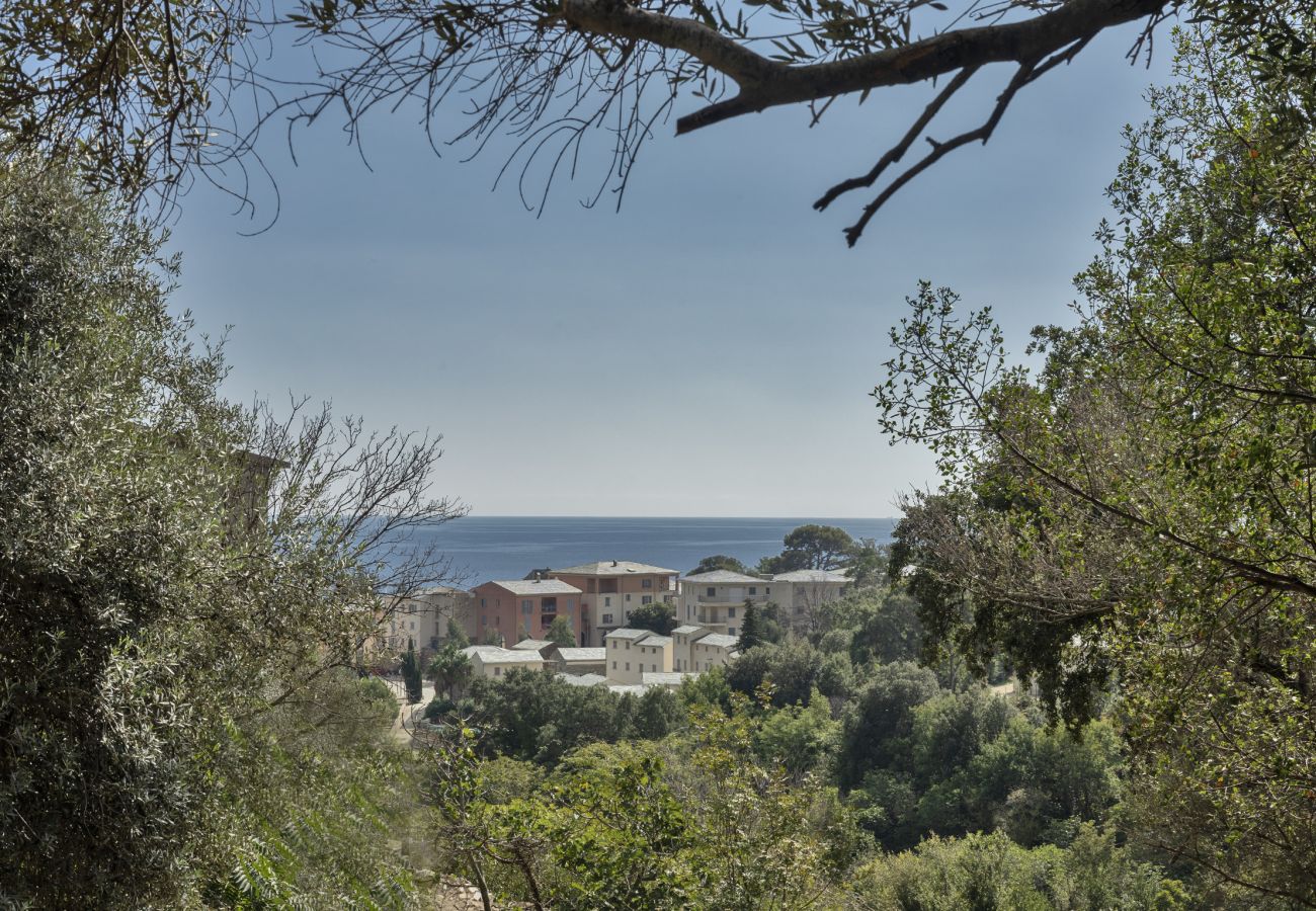 Villa à Brando - Villa Piccula