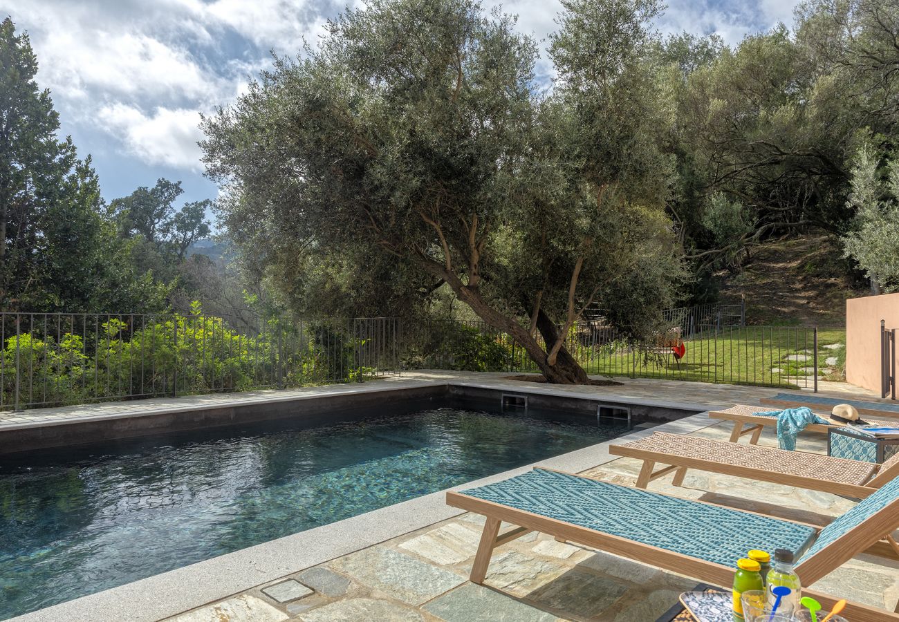 Villa à Brando - Villa Piccula