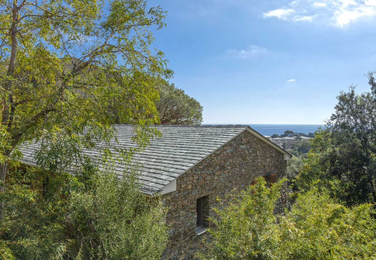 Villa à Brando - Villa Piccula