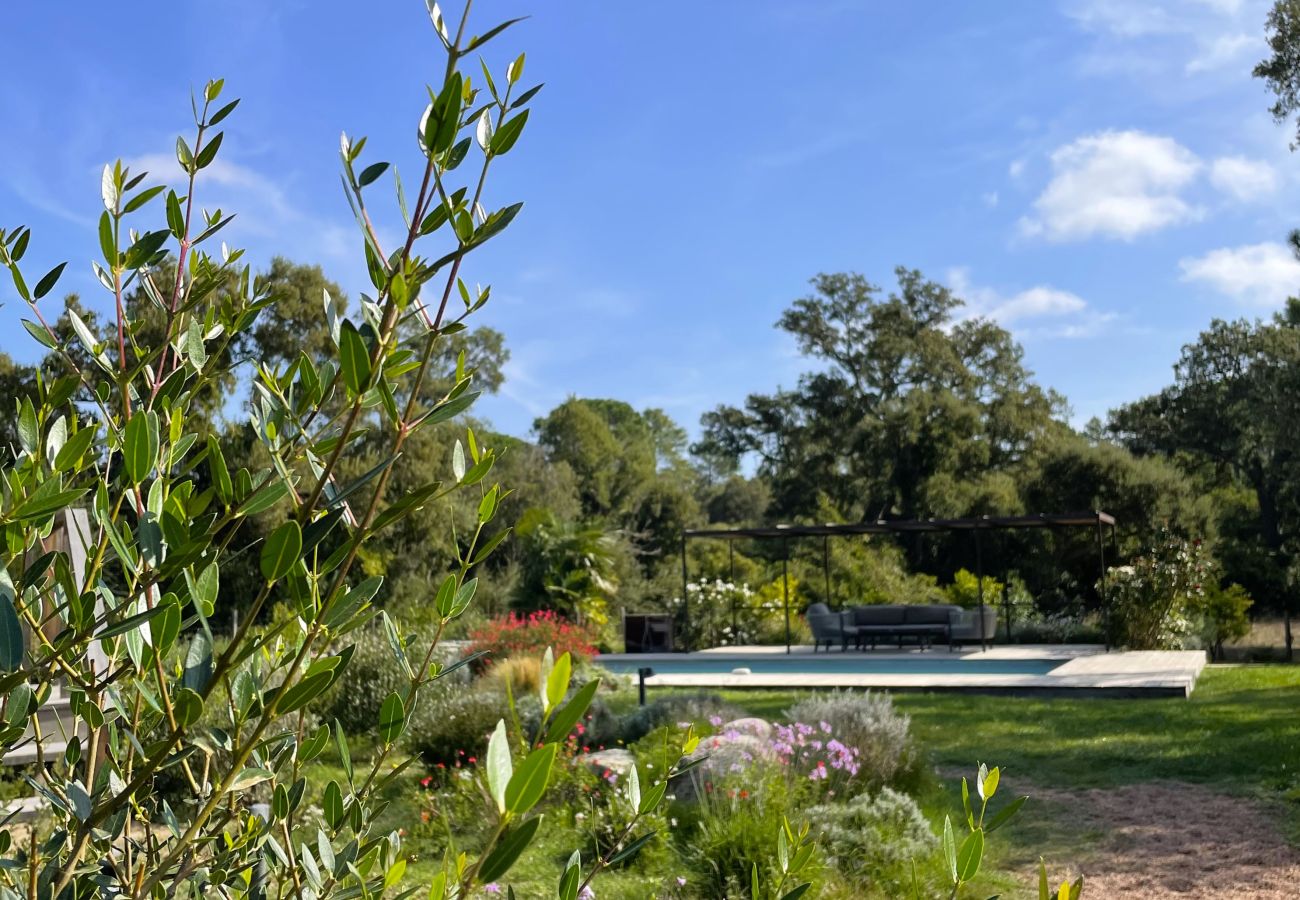 Villa à Lecci - Lodge Les Oliviers