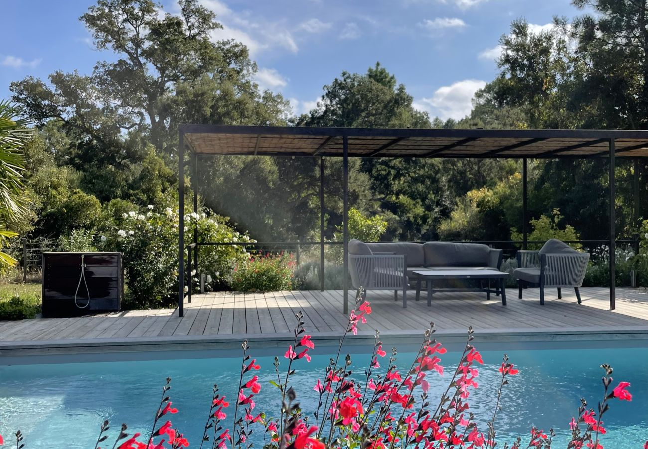 Villa à Lecci - Lodge Les Oliviers