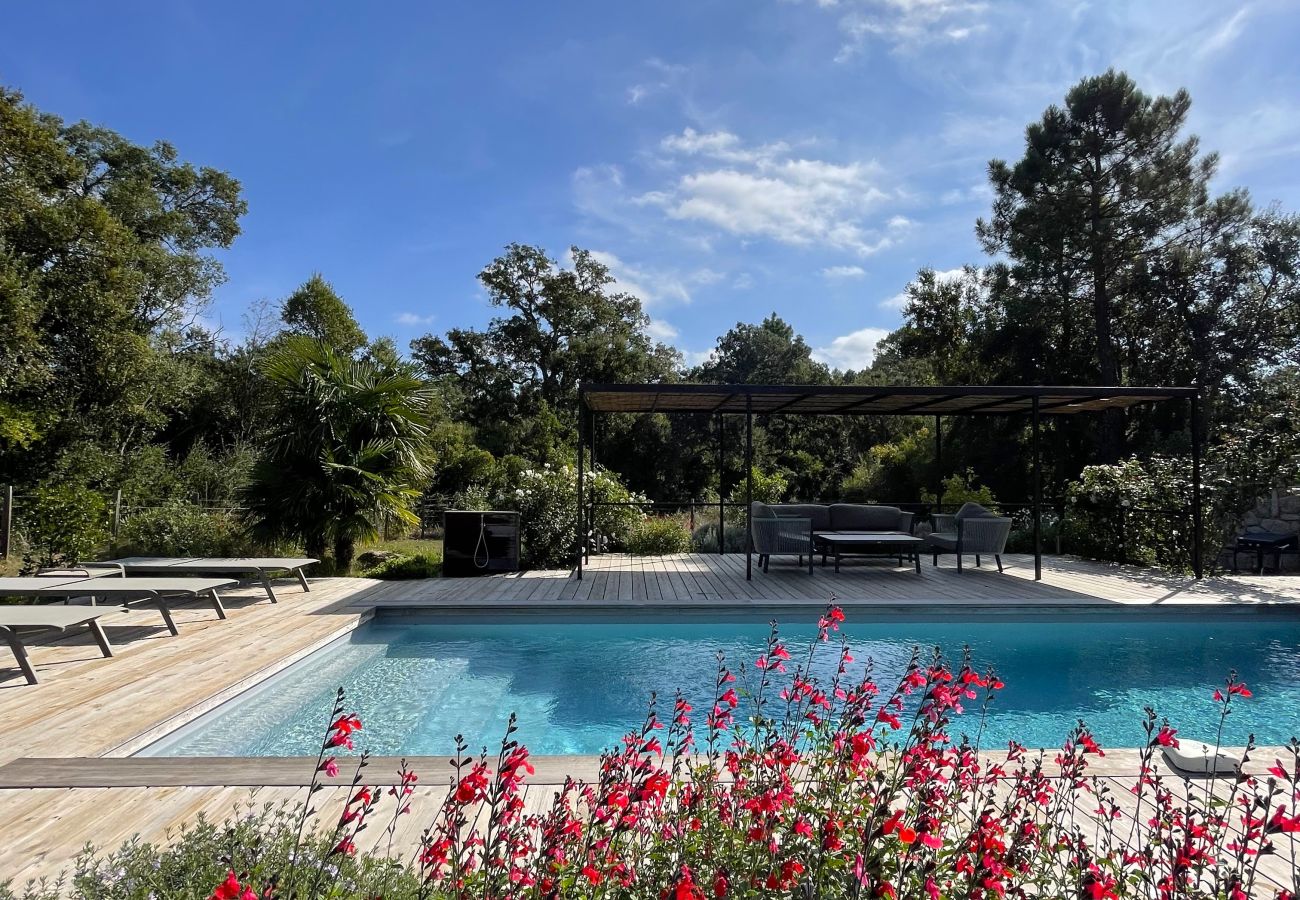 Villa à Lecci - Lodge Les Oliviers