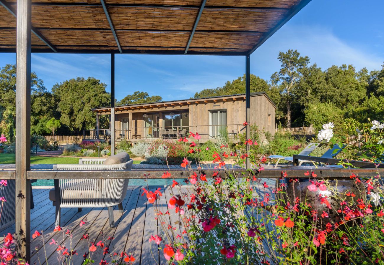 Villa à Lecci - Lodge Les Oliviers
