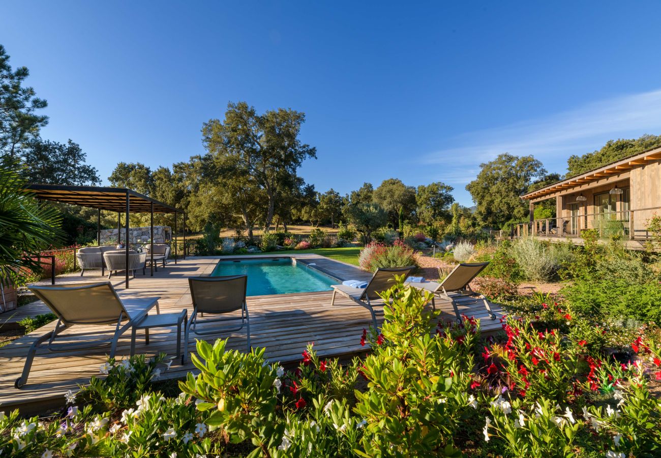 Villa à Lecci - Lodge Les Oliviers