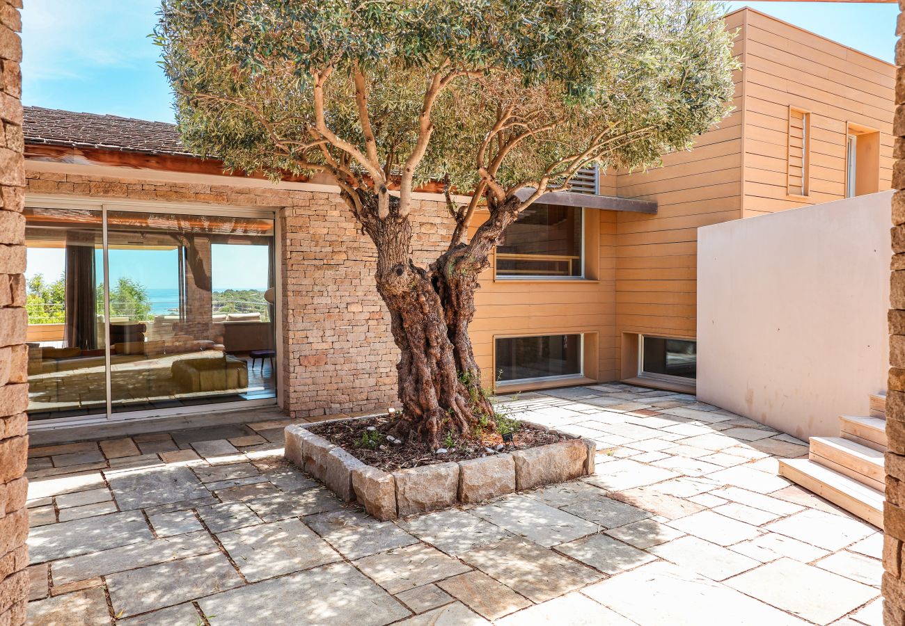 Villa à Porto-Vecchio - Villa Terra di Palombaggia