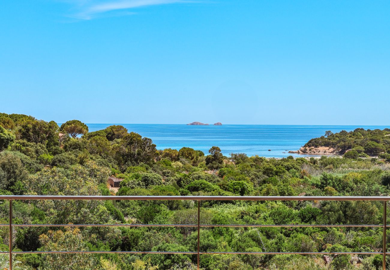 Villa à Porto-Vecchio - Villa Terra di Palombaggia